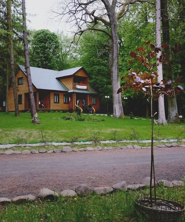 Показали красу літнього Воротнева (фото)
