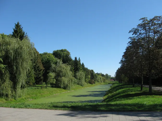 У луцькому парку під будівництво вирубують дерева, – ЗМІ