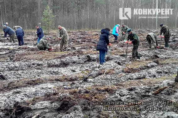 Волинські правоохоронці висадили майже гектар лісу