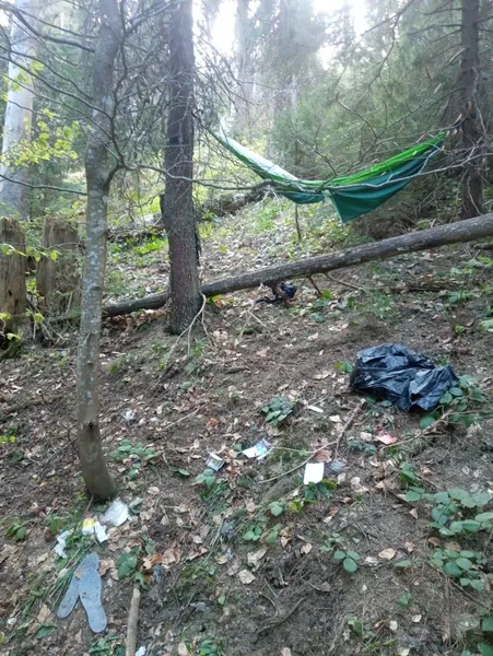 На ухилянтів у горах чатують ведмеді (фото)
