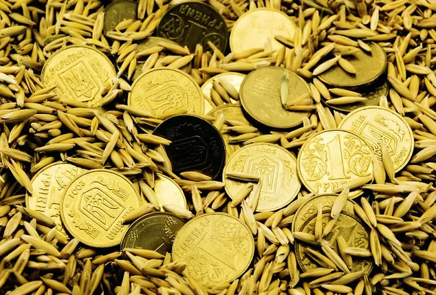 На Волині просять збільшити суму держаної підтримки для аграріїв