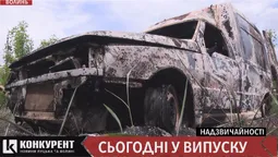 Надзвичайності тижня: директор-лісоруб, жорстоке самовбивство та мотоцикл вдрузки (відео)