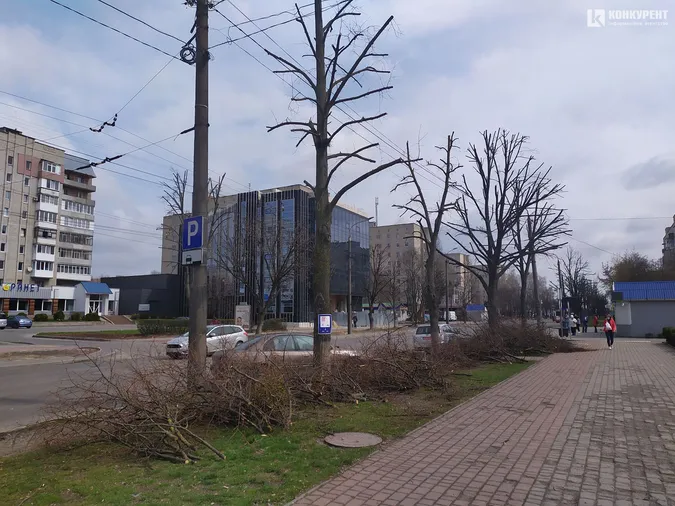 У Луцьку на Молоді кронували дерева (фото)