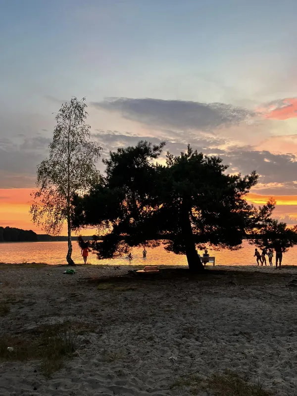 Ніжна, як молоко: на Волині є озеро зі «срібною» водою (фото)