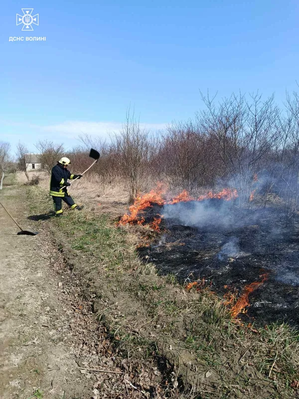 На Волині за добу вигоріли гектари трави: вогонь дістався навіть дачного будинку (фото)