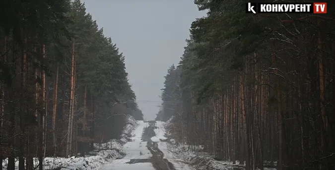 На Волині у лісі здійняли ґвалт через сосни: що там коїться (відео)