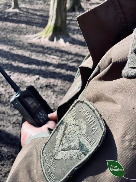 На Камінь-Каширщині фотопастки «палять» лісокрадів (фото)