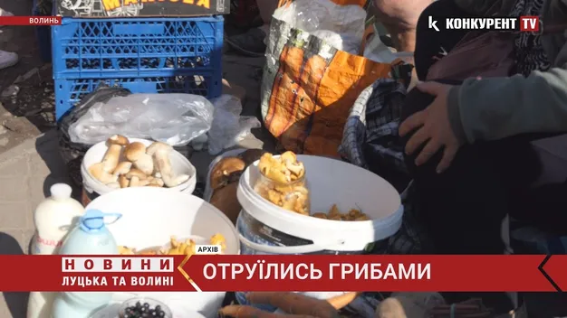 Отруєння грибами: семеро волинян – на лікарняних ліжках (відео)
