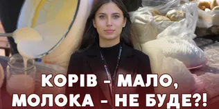 Корів стає дедалі менше: що коїться з домашньою молочкою на луцькому ринку (відео)