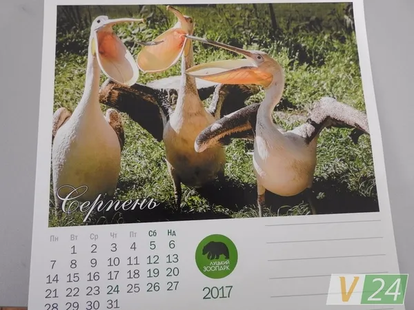 «Луцький зоопарк» видав календар зі світлинами своїх мешканців (фото)
