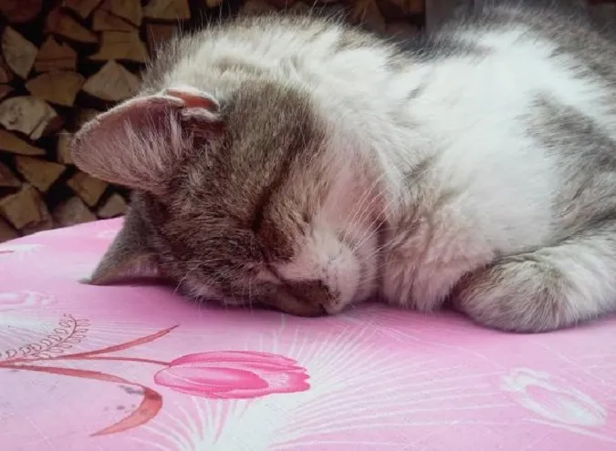 Головне у Луцьку: ТОП новин п'ятниці, 9 лютого