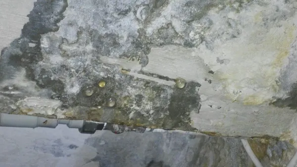 На ДПЗ в будинку грибок роз’їв стіну, а в ЖКП кажуть, що сухо (фото)