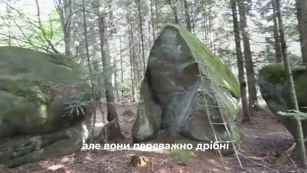 Український «Острів Пасхи»: серед лісу в Карпатах ховаються понад 100 загадкових валунів (відео)