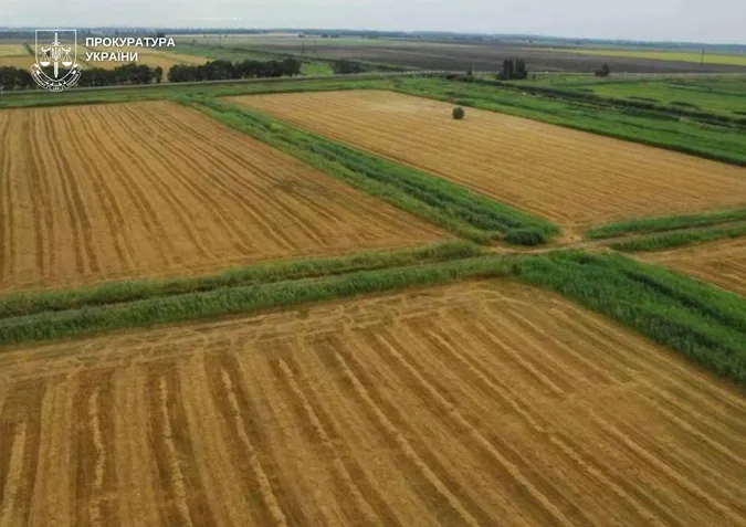 На Волині викрили «кукурудзяну» схему з держземлями: збитки оцінили у понад 8 млн грн
