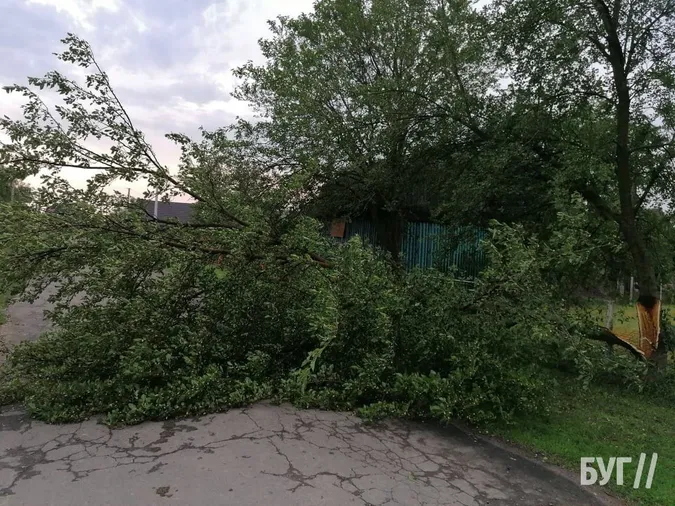 Зірвані покрівлі і повалені дерева: на Волині вирувала негода (фото)