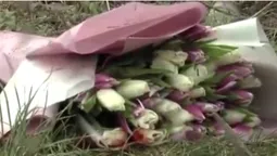 19-річна волинянка із хлопцем потрапили в ДТП на День Валентина (фото, відео)