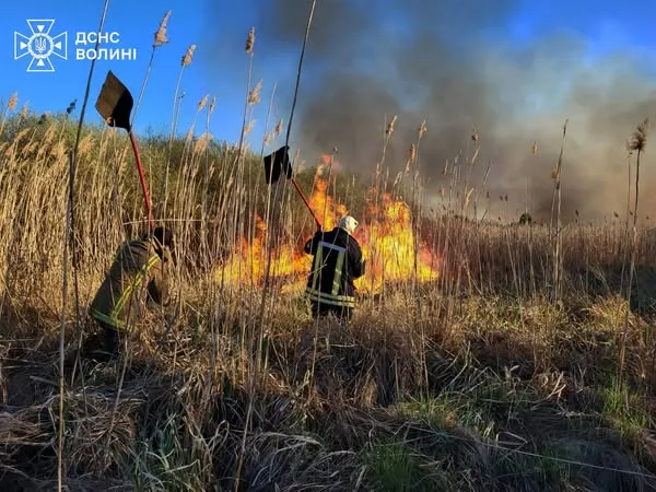 Суха трава, чагарники та очерет: на Волині вигоріли понад 2,5 га угідь (фото)