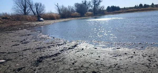 Крига скувала до самого дна: у ставку біля Луцька загинула вся риба (фото, відео)