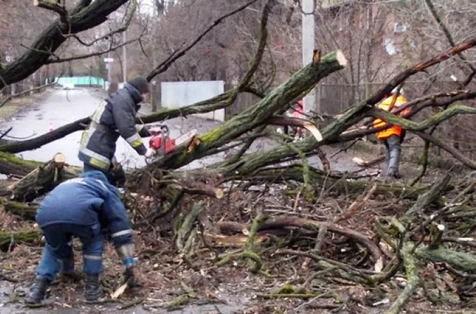 Через негоду на Волині без світла залишилися 23 населені пункти