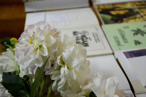 Одна з луцьких бібліотек поповнилася новими книгами від професорки (фото)