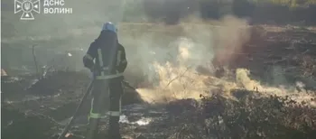 На Волині загорівся торф: пожежа охопила 4 гектари (фото)