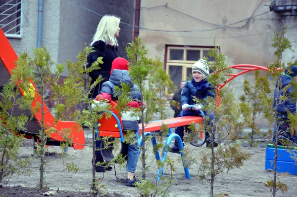 «Будуємо спільне майбутнє»: у луцьких дворах посадили дерева
