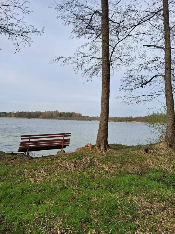 Весна на Шацьких озерах: місцеві показали неймовірні краєвиди (фото)