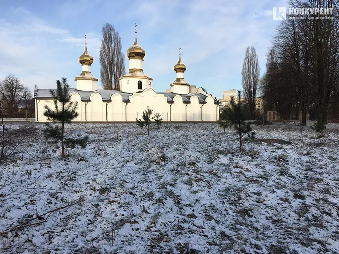 Сніг у березні: фото луцького парку