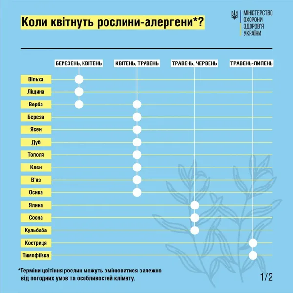 Сезон алергій розпочато: як допомогти собі в період цвітіння трав та дерев