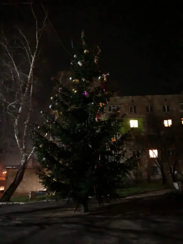 Повішені зайці на ялинці з протезом: у Нововолинську «вистраждали» новорічне дерево (фото, відео)