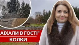«Лісовичок », телята з «Баффало» та волонтери: «Заїхали в гості» в Колки (відео)