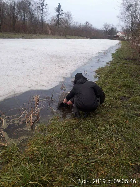 У луцькому парку бетонні смітники повикидали в канаву (фото)