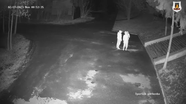 Хвилинка «слави»: вандалів, які потрощили кликунів у Луцьку, зафіксували камери (відео)