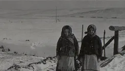 Показали, якою була зима на Волині 1910-х роках (фото)
