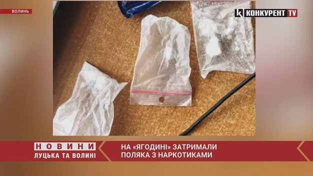 На «Ягодині» затримали поляка з наркотиками (відео)