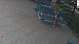 За поклейку не заплатять: у Луцьку шукають клеїльника оголошень (відео)