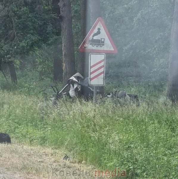 Авто врізалось у дерево: на Волині у ДТП загинув 20-річний водій (фото)