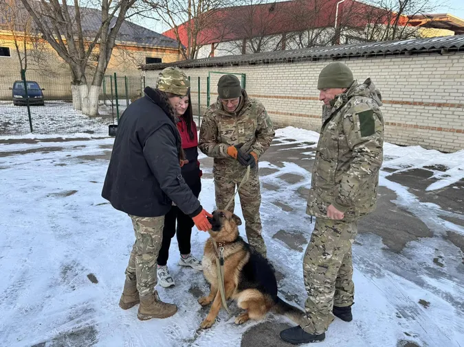 Будки, калорійне харчування та тренування: як живуть «чотирилапі поліціянти» на Волині (фото)