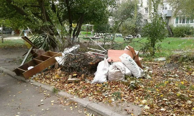 Лучан каратимуть за гілля та будівельні відходи у сміттєвих контейнерах (фото)