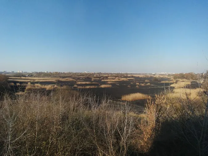 Показали наслідки пожежі в луцькому заказнику (відео)