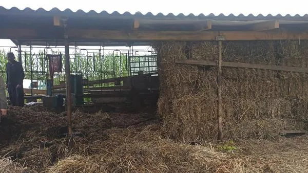 Пожежа в Луцькому районі: згоріло пів тонни сіна (фото, відео)