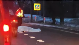 Ранкова смерть: недалеко від Луцька авто збило пішохода (фото, відео)