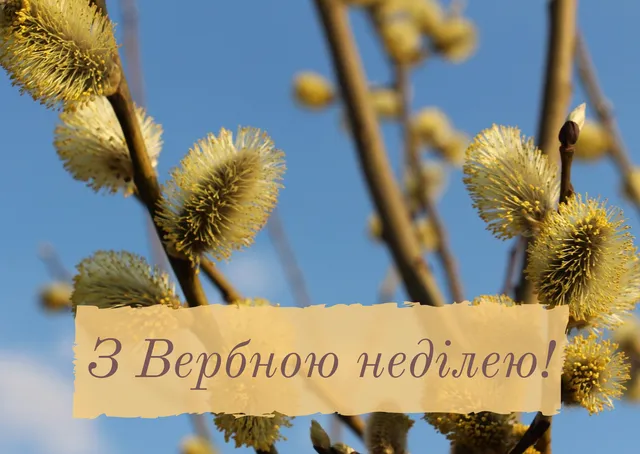 З Вербною неділею: гарні листівки та привітання
