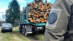 Спіймали на гарячому: на Волині виявили авто з незаконною деревиною