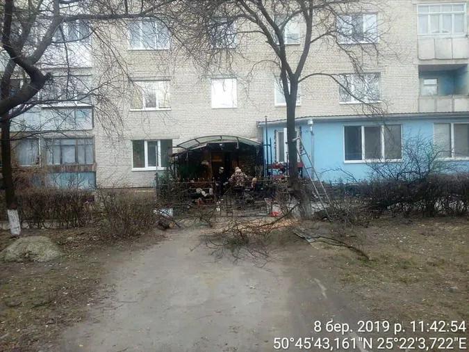 У Луцьку на Молоді незаконно зрізали дерева (фото)