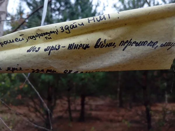 «Щоб закінчилась війна…»: у лісі на Волині знайшли літачок із мріями школярів (фото)