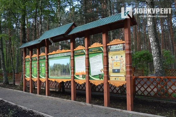 Відпочинок на природі: рекреаційні пункти у волинських лісах