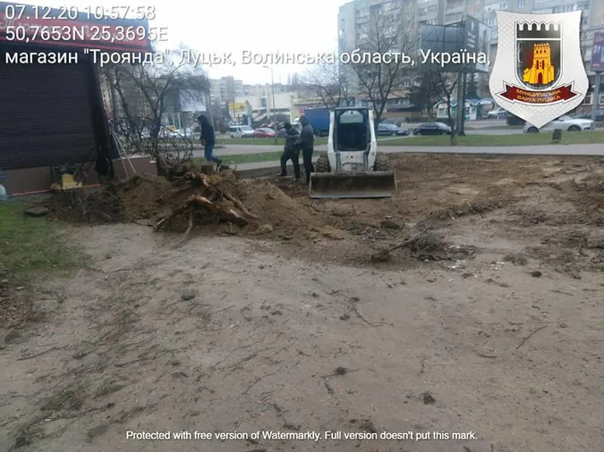 У Луцьку рили землю без дозволів і знищили дерево (фото)
