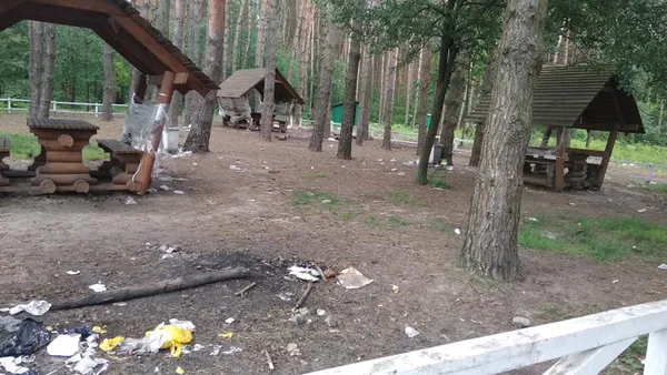 «Люди, ви свині?»: відпочивальники захаращили «Зелений гай» (фото)