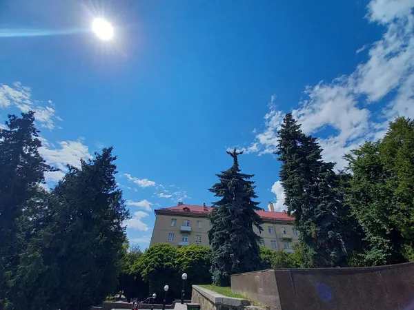 Як у Ріо: на луцькій ялинці помітили Христа-Спасителя (фото)